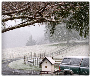 Moving in the Snow